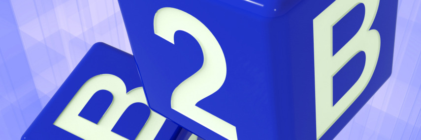 b2b marketing case study