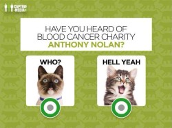 Gamification article