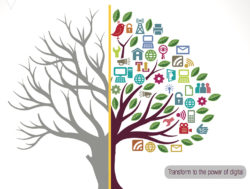 digital transformation article