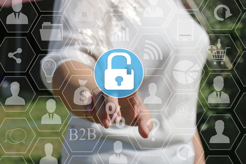 Online fraud brand protection