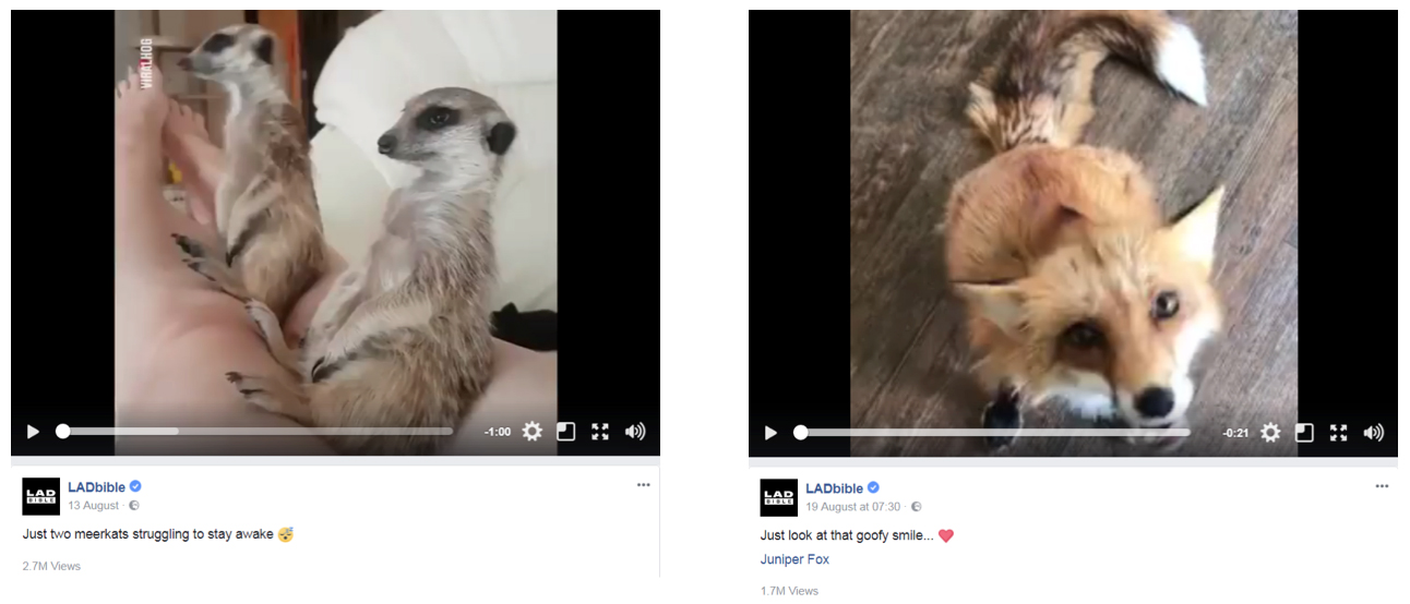 social media impacting