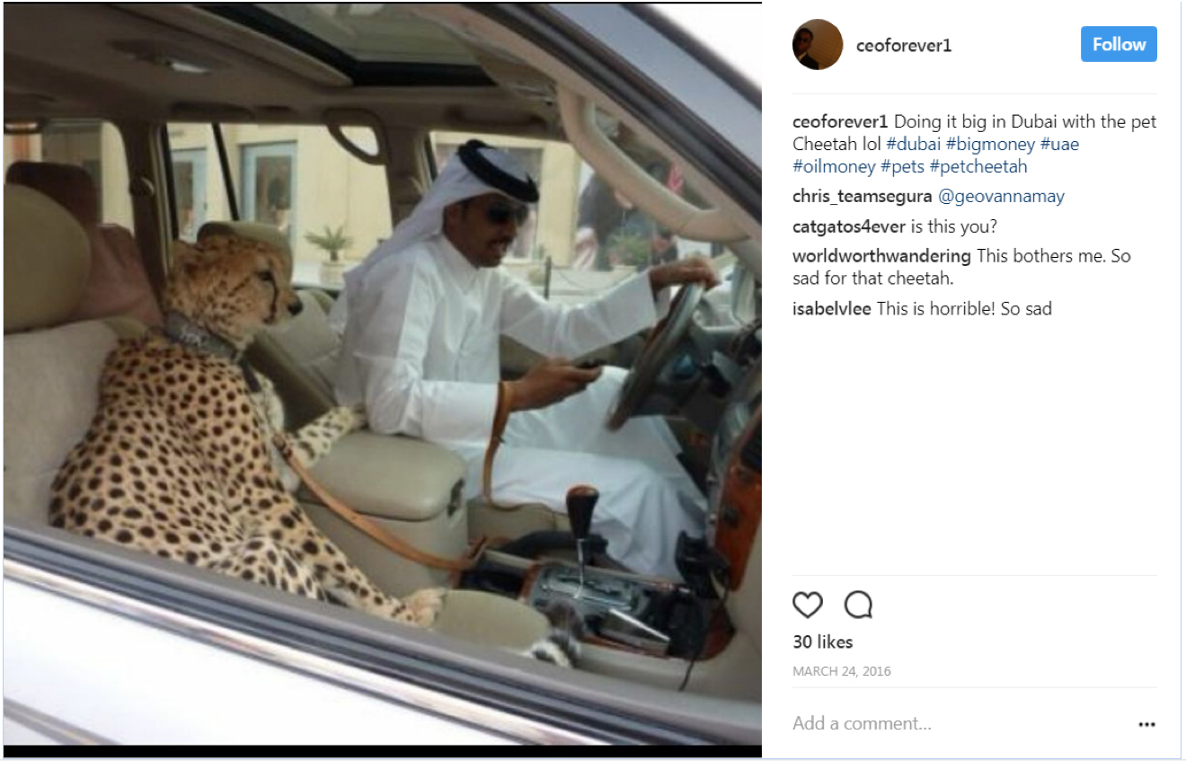 social media impacting