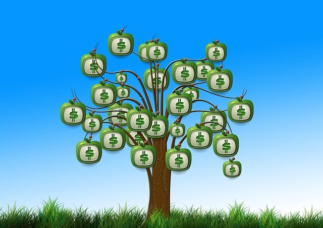 case study data strategy how to build a data strategy - money tree